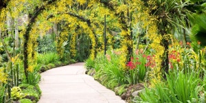 세계 관광객이 인증하는 벨라지오 온실 및 식물원 인기 티켓, 투어 | 겟유어가이드 | GetYourGuide