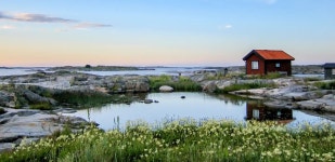 2025 스웨덴 인기 고고학 | 겟유어가이드 | GetYourGuide