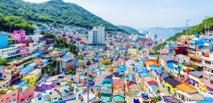 2025 감천 문화마을 인기 식음료 | 겟유어가이드 | GetYourGuide