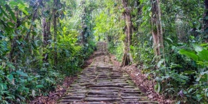 Sierra Nevada de Santa Marta, Santa Marta - Book Tickets & Tours | GetYourGuide