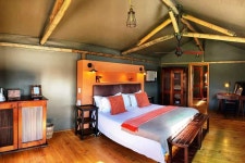 From Cape Town: South African Wildlife and Safari 2-Day Tour | GetYourGuide