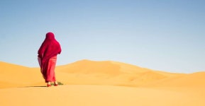 마라케시에서 페스까지 3일 모로코 사하라 사막 투어 | GetYourGuide