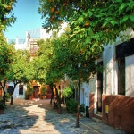 세비야 중세 워킹 투어 | GetYourGuide