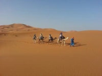 The BEST Azrou Activities 2024 - FREE Cancellation | GetYourGuide