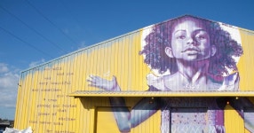 City of New Orleans and Katrina Recovery Tour | GetYourGuide