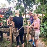 살렌토에서 출발하는 핀카 엘 오카소 커피 농장 투어 | GetYourGuide