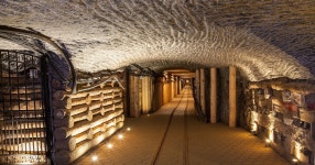 크라쿠프에서 출발: 비엘리츠카 소금 광산 관광 루트 | GetYourGuide