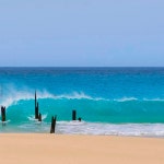 마이오 섬: 조식 포함 전일 가이드 투어 | GetYourGuide