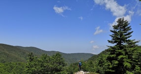 레지오 칼라브리아: 몬탈토 정상으로 가는 아스프로몬테 트레일 트레킹 | GetYourGuide