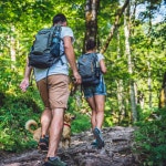 상파울루: 피크닉과 함께하는 자라구아 공원의 대서양 숲 하이킹 | GetYourGuide