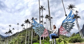 Salento/Pereira: Cocora Valley & Salento Hiking Private Tour | GetYourGuide