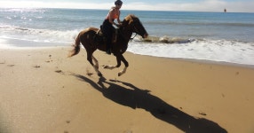 에사우이라 출발: 하룻밤 베르베르 캠프와 함께하는 승마 투어 | GetYourGuide