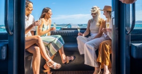 코핀 베이: 짧고 달콤한 굴 농장 투어 | GetYourGuide