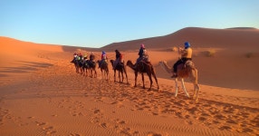 마라케시에서 메르주가 에르그 체비까지: 4일 사막 투어 | GetYourGuide