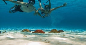 코수멜: 팔랑카르, 콜롬비아, 엘 시엘로 산호초 스노클링 | GetYourGuide