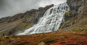 Isafjordur: Dynjandi Waterfall Tour and Icelandic Farm Visit | GetYourGuide