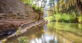 Agadir/Taghazout/Tamraght: Paradise Valley Swimming Tour | GetYourGuide