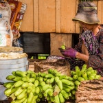 프놈펜: 프놈 우동 & 코첸 마을 - 점심 포함 | GetYourGuide