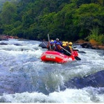 From Kandy: Kithulgala White Water Rafting Adventure | GetYourGuide