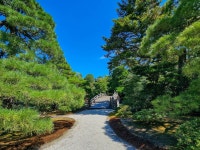 Kyoto: Imperial Palace & Nijo Castle Guided Walking Tour | GetYourGuide