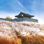 서울 출발: 유네스코 수원 화성성곽 투어 | GetYourGuide