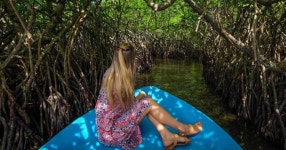콜롬보에서 출발하는 독점 마두강 사파리 & 거북이 농장 투어 | GetYourGuide