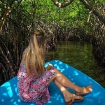 콜롬보에서 출발하는 독점 마두강 사파리 & 거북이 농장 투어 | GetYourGuide