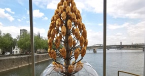 Skip-the-Line Chocolate Museum & Old Town Guided Tour | GetYourGuide