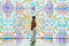 Day Trips from Grachtengordel | GetYourGuide