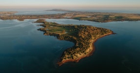 멜번 펭귄 퍼레이드 & 처칠 아일랜드 농장 투어 | GetYourGuide