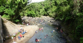 El Yunque National Rainforest: Nature Walk Adventure - San Juan, United States | GetYourGuide El Yunque National Rainforest... 