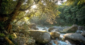 Port Douglas: Mossman Gorge Day with River Drift Snorkeling
