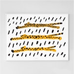 RUN CHEETAH RUN!