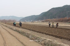 안동포 마을의 안동포의 시작 < 문화 < 기사본문 - 글로벌뉴스통신GNA 안동포 마을의 안동포의 시작 - 글로벌뉴스통신GNA