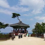 낙산사 홍련암 관음굴 < 포토뉴스 < 문화종합 < 문화 < 기사본문 - 글로벌뉴스통신GNA 낙산사 홍련암 관음굴 - 글로벌뉴스통신GNA