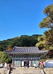 (글로벌GNA) 용문사 은행나무 < 포토뉴스 < 문화종합 < 문화 < 기사본문 - 글로벌뉴스통신GNA (글로벌GNA) 용문사 은행나무 - 글로벌뉴스통신GNA