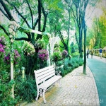 과천시 대공원 나들길, 꽃과 쉼이 있는 거리로 가을맞이 단장... 과천시 대공원 나들길, 꽃과 쉼이 있는 거리로 가을맞이 단장... 