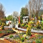 과천시 꽃향기 가득 ‘치유정원’ 재단장, 감성정원 조성 < 생활문화 < 문화 < 기사본문 - 글로벌뉴스통신GNA 과천시 꽃향기 가득 ‘치유정원’... 