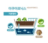 글로벌스마트팜(GSPharm) | ‘스마트팜 4호점’ 돌파 < 포토뉴스 < 사회 < 기사본문 - 글로벌뉴스통신GNA 캠코, 도시농업시설 ‘스마트팜 4호점’ 돌파 - 글로벌뉴스통신GNA