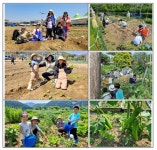서울시, 텃밭 농사 체험 ‘동행서울 친환경 농장’ 선착순 모집 < 포토뉴스 < 생활경제 < 경제 < 기사본문 - 글로벌뉴스통신GNA 서울시, 텃밭 농사... 