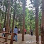 부산 사하구치매안심센터, 치매 가족 야외 힐링 프로그램 성황리 운영 < 포토뉴스 < 건강 < 기사본문 - 글로벌뉴스통신GNA 부산... 