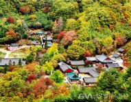 화개장터와 쌍계사의 숨결, 한국 관광 100선에 빛나다 < 포토뉴스 < 문화종합 < 문화 < 기사본문 - 글로벌뉴스통신GNA 화개장터와 쌍계사의... 