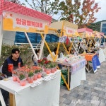 부산 사상구, ‘제1회 GREEN 괘법 어울림 FESTA’ 성료 < 포토뉴스... 부산 사상구, ‘제1회 GREEN 괘법 어울림 FESTA’ 성료... 