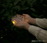 남양주시 물맑음수목원, ‘2026 반딧불이 숲산책’성료 < 포토뉴스 < 생활문화 < 문화 < 기사본문 - 글로벌뉴스통신GNA 남양주시... 