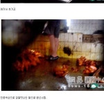 대륙의 닭고기제조.jpg - 고급유머 대륙의 닭고기제조.jpg
