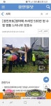 수원 530년된 나무 근황.jpg - 고급유머 수원 530년된 나무 근황.jpg