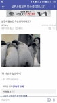[스압] 싱글벙글 다이어트 갤러리.jpg - 고급유머  싱글벙글 다이어트 갤러리.jpg