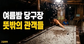 필리핀 시골 당구장의 여름.mp4 - 고급유머 필리핀 시골 당구장의 여름.mp4