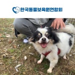 한국동물보육원연합회, 국제 강아지의 날 파양 동물 입양 캠페인 전개 < 비즈니스 < 라이프 < 기사본문 - 지피코리아 한국동물보육원연합회, 국제... 