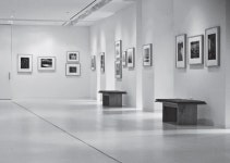 매일 토익 LC 풀기 & 무료 해설강의 :: 해커스영어